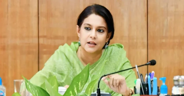 সাশ্রয়ী দামে ফার্নিচার সরবরাহ করবে সরকার : বন উপদেষ্টা