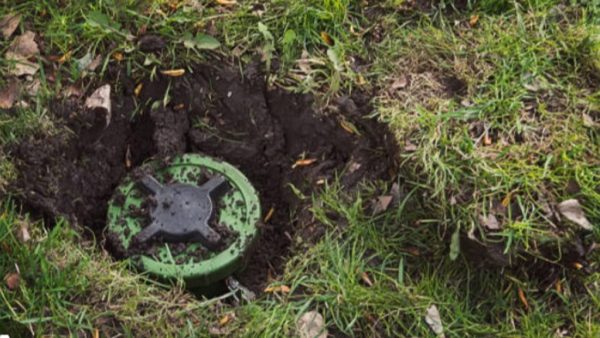 সীমান্তে ২ দফা মাইন বিস্ফোরণ : মরল কুকুর-শূকর